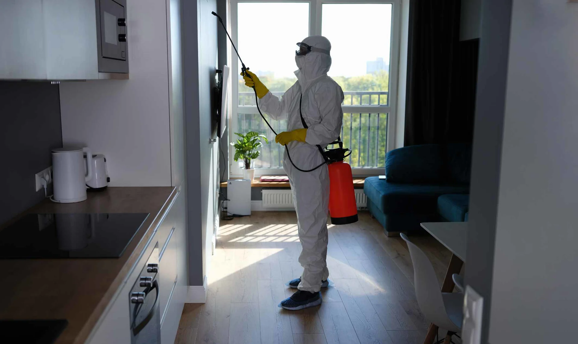 Evde Haşere Kontrolü: 7 Profesyonel İlaçlama İpucu